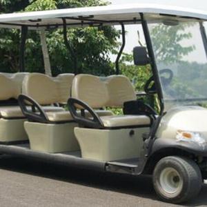 電動(dòng)高爾夫球車(chē)