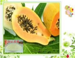 供應 木瓜蛋白酶 酶制劑