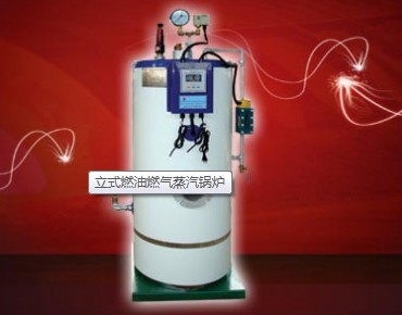 立式燃油燃氣蒸汽鍋爐