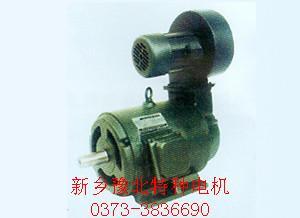 YLJ112-6/4型力矩電機