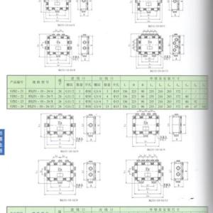 YZB2-BXJ51系列防爆接線箱