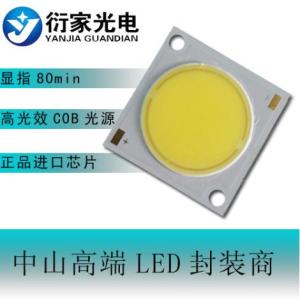 LED COB光源（2828）