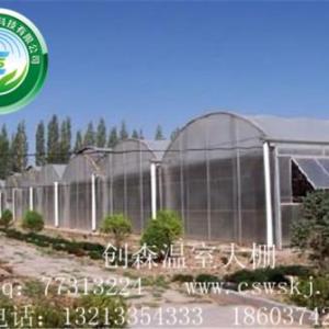 溫室大棚