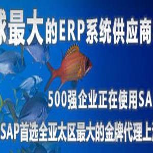 制造業(yè)ERP哪個(gè)軟件好 首選SAP ERP系統(tǒng) 上海達(dá)策