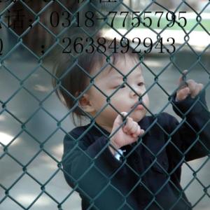 池湖.道路隔離防護荷蘭網