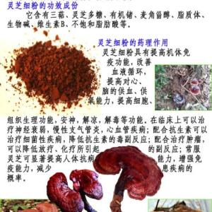 靈芝細粉