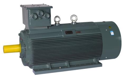 變頻調(diào)速三相異步電機(jī)