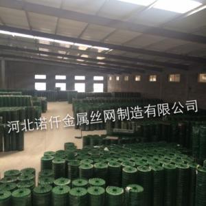 浸塑荷蘭網電焊網綠色防護網|葡萄架|獼猴