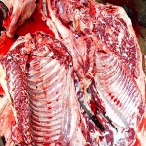 驢肉批發