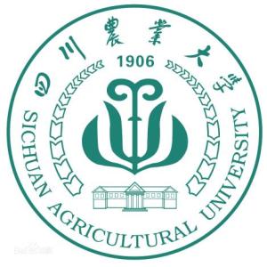 四川大學(xué)2017年遠程教育招生簡章