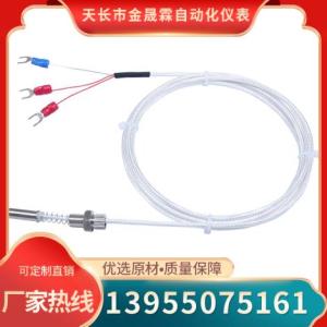 熱電阻生廠商