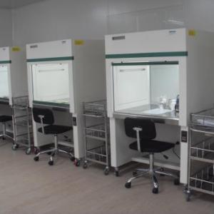 單人單面垂直超凈工作臺