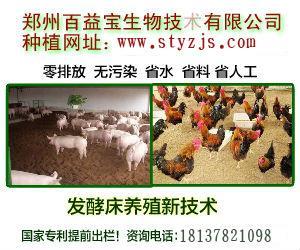 百益寶em菌發(fā)酵床養(yǎng)鵝技術(shù)