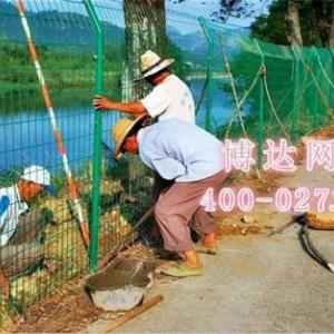 高速公路護欄網