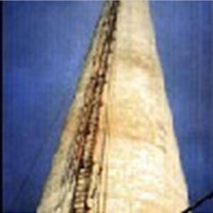 混凝土煙囪防腐項目