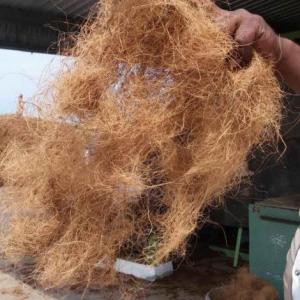 高品質(zhì)印度、蘭卡椰絲