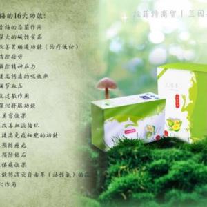 蘭因果酵素青梅