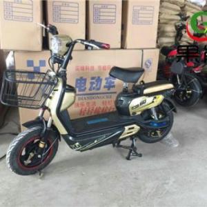 兩輪電動車批發5