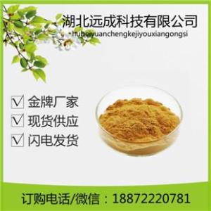 現貨靈芝三萜