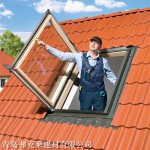 fakro屋頂通道窗、屋頂入口窗