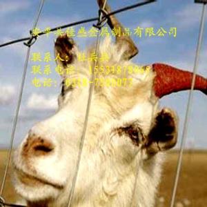 內蒙古養(yǎng)殖牛欄網草原網圈地圍欄養(yǎng)鹿網