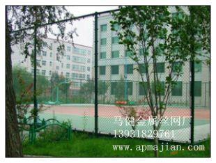 體育場(chǎng)護(hù)欄網(wǎng)