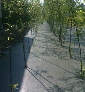 防草布在選購時要把握三點