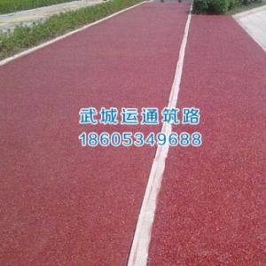 彩色生態透水路面