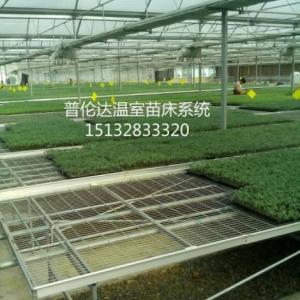 溫室苗床網(wǎng)，苗床專用熱鍍鋅網(wǎng)片，廠家供應(yīng)