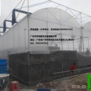 陽江薄膜棚，塑料溫室，連棟大棚建設