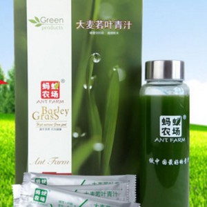大麥若葉青汁 螞蟻農場 大麥若葉青汁粉營