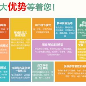 分銷系統開發公司