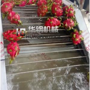 火龍果清洗機(jī) 多方位噴頭火龍果清洗機(jī)