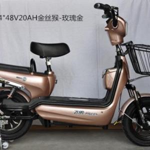 飛鴿電動車代理