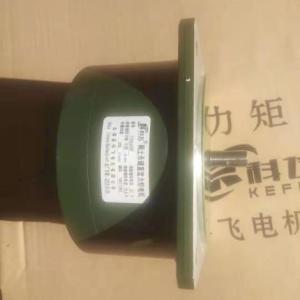 力矩電機廠家