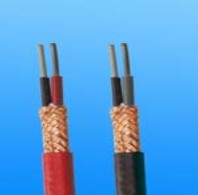 遠東集團 DJYVP計算機電纜