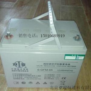 雙登蓄電池6-GFM-24報價/型號規格/經銷商