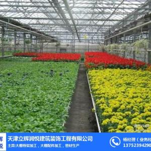 智能溫室搭建-智能溫室-立輝潤悅