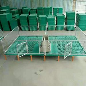 天水雙體母豬產床作用