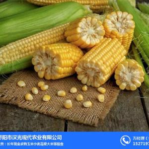 現金求購玉米_漢光現代農業(在線咨詢)_黑龍江求購玉米