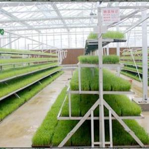林芝多層苗床廠 河北安平漢明育苗設備廠