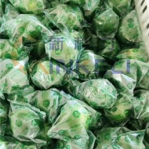 廣州專業檸檬包裝機