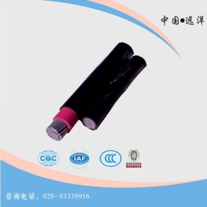 西安控制電纜型號,遠(yuǎn)洋電線電纜 已認(rèn)證 ,控制電纜