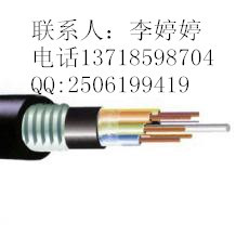 GYTA-6B1 室外單模層絞鋁鎧光纜