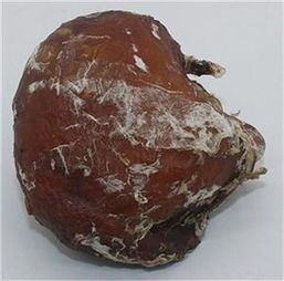 雞寶有買家在收購 現(xiàn)金交易