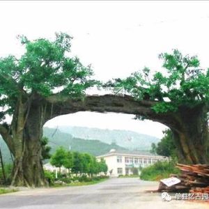周口生態園大門