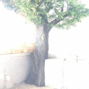 農(nóng)場仿樹大門效果圖價格 亳州仿樹大門價格 適用于生態(tài)場所