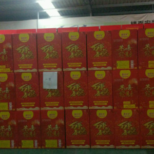 新款電子禮賓花-電子禮賓花-亞興景城電子禮花(查看)