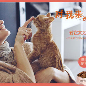 成貓糧2kg 挑嘴貓 寵物貓糧 寵物食品 貓糧 進(jìn)口貓糧 貓糧批發(fā) 歐冠貓糧 糧