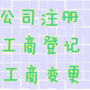 廣州特殊核名專業(yè)，大額驗資快速，代理記賬